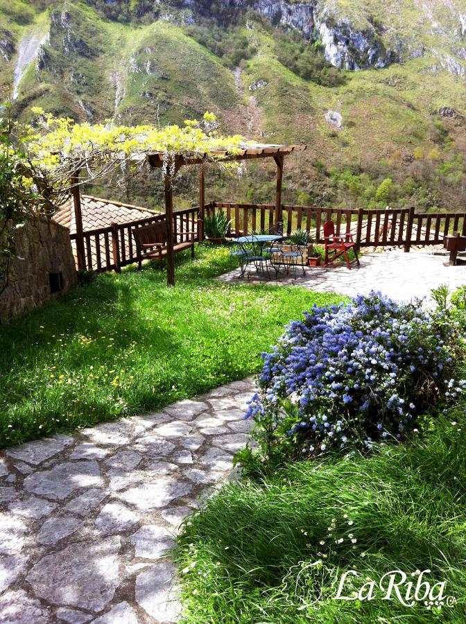 Casa Rural La Riba Sames Ngoại thất bức ảnh
